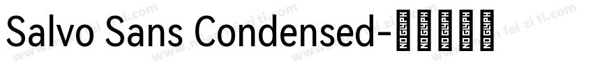 Salvo Sans Condensed字体转换